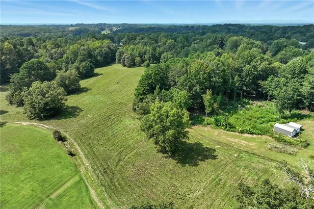 a view of a green yard with large trees