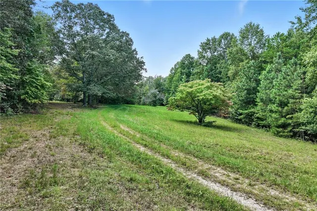 a view of a green yard with large trees