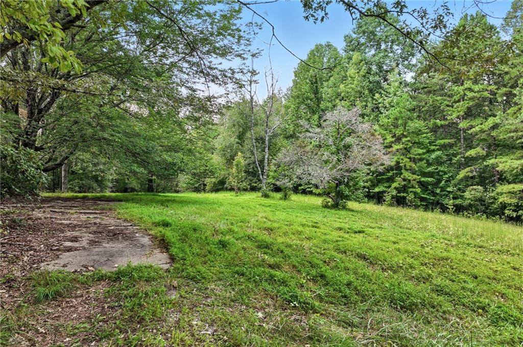 4363 Sardis Road Gainesville, GA 30506 - Photo 6 of 30 a view of a yard with a tree