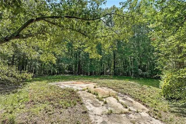 a view of a backyard