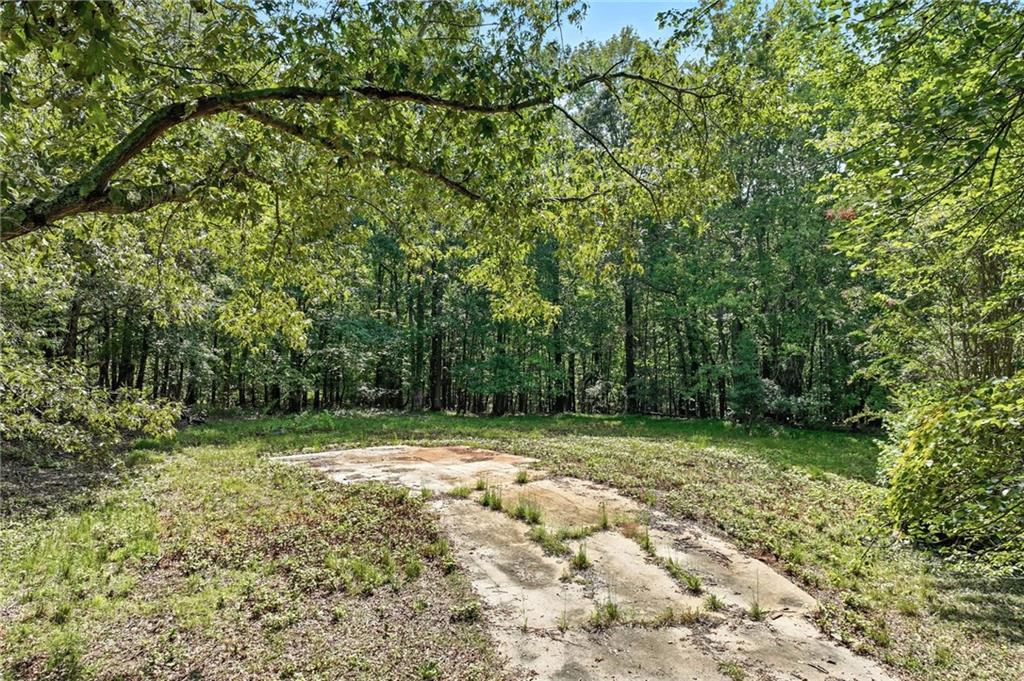 4363 Sardis Road Gainesville, GA 30506 - Photo 8 of 30 a view of a backyard