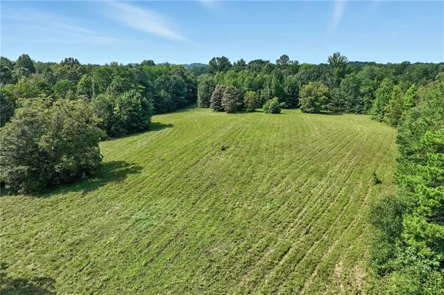 a view of a green field with lots of bushes