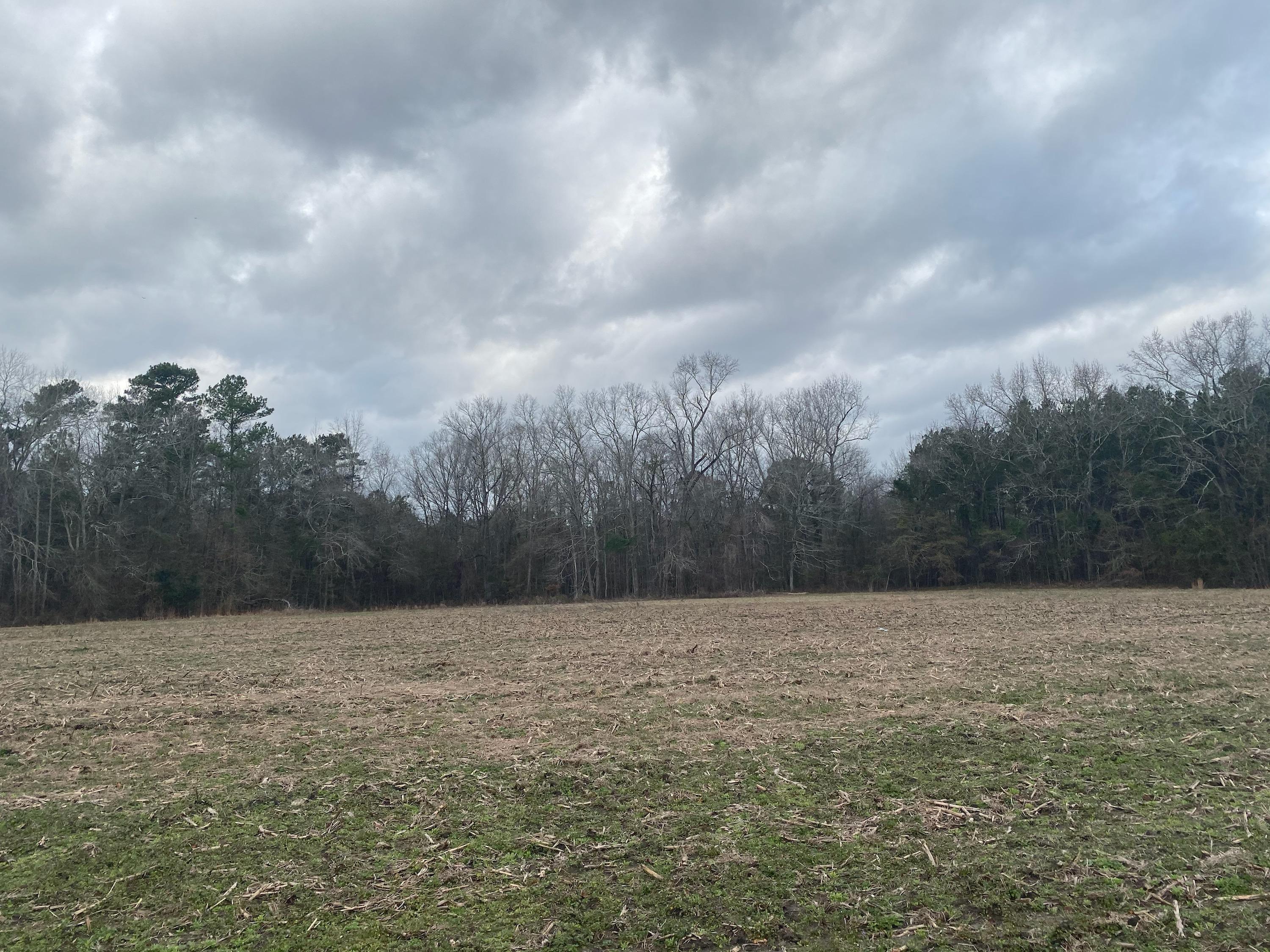 3504 Homestead Road Bowman, SC 29018 - Photo 1 of 1 3504 Homestead Road