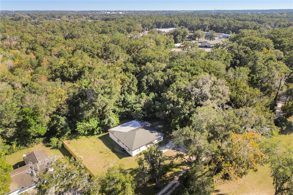 1251 Northwest 23rd Avenue Ocala, FL 34475 - Photo 30 of 34 a view of a yard with a tree