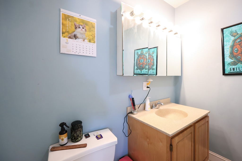 35 Adamson Street Boston, MA 02134 - Photo 29 of 41 a bathroom with a sink a mirror and a toilet
