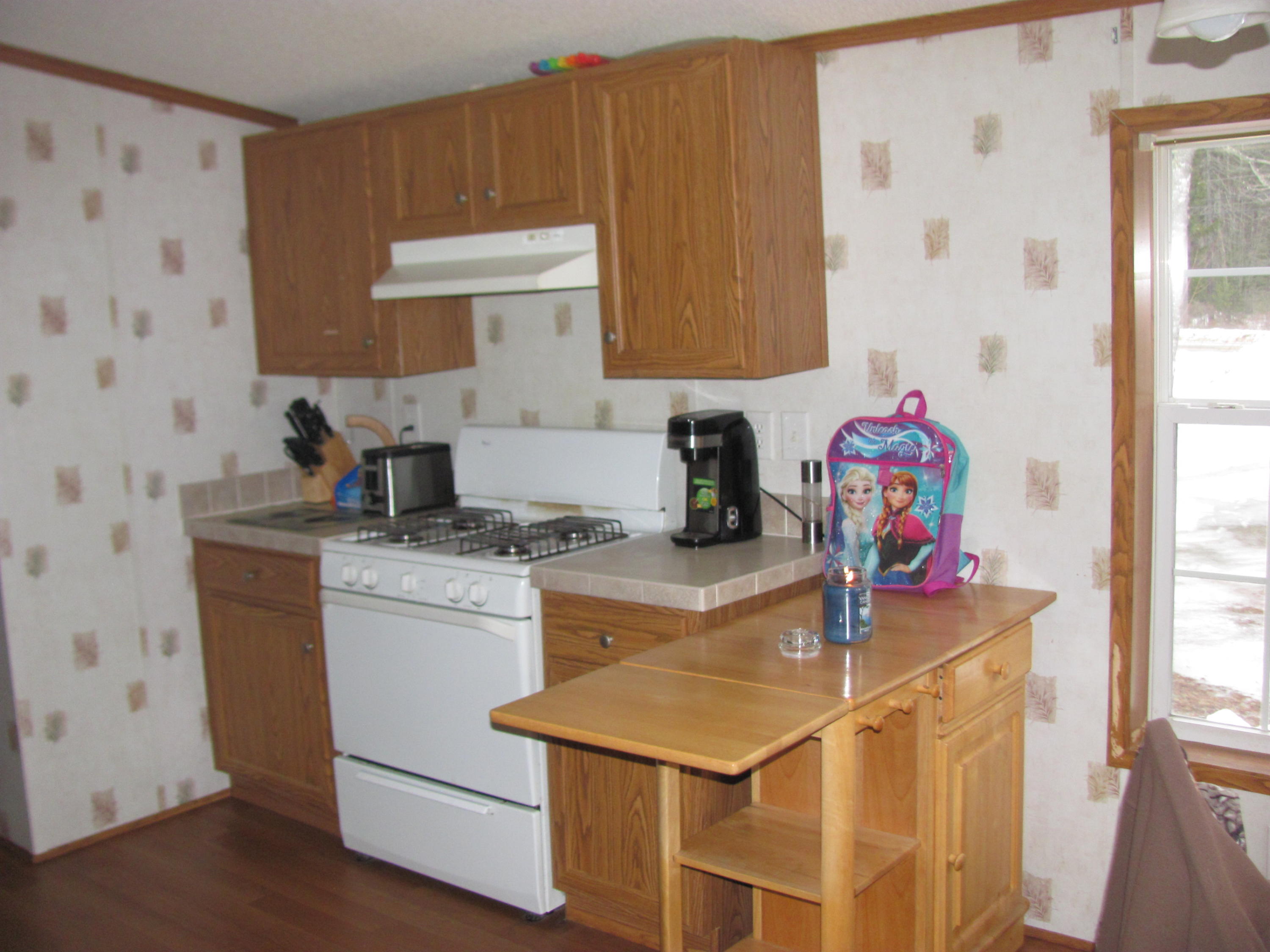156 Bert Gray Road Sullivan, ME 04664 - Photo 8 of 27 Sulllivan BertGray 021