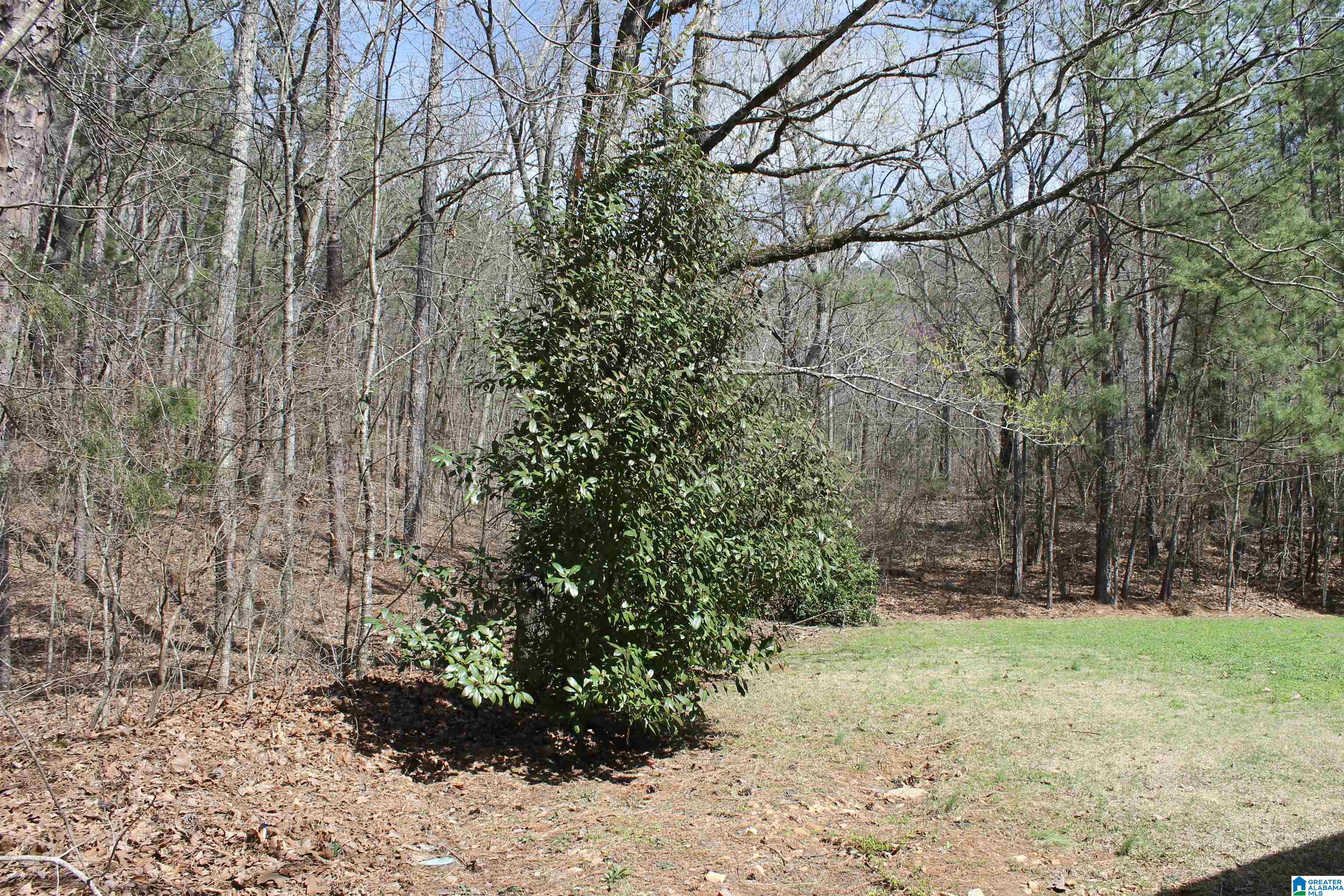 2106 Renfroe Road Talladega, AL 35160 - Photo 46 of 51