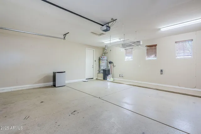 a view of a backyard with plants and palm tree