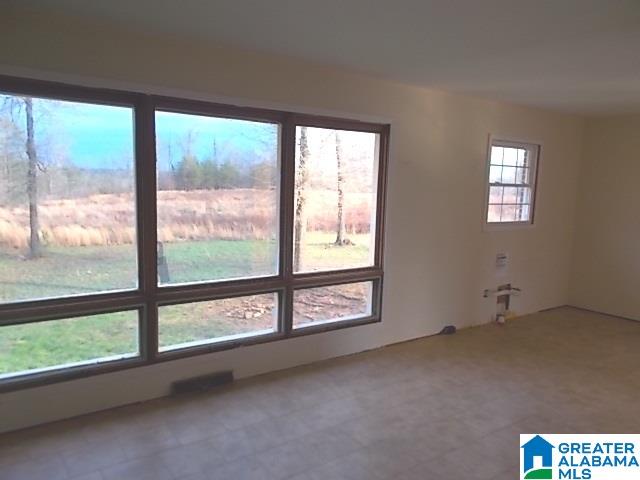 3601 Mt Olive Road Mount Olive, AL 35117 - Photo 4 of 19