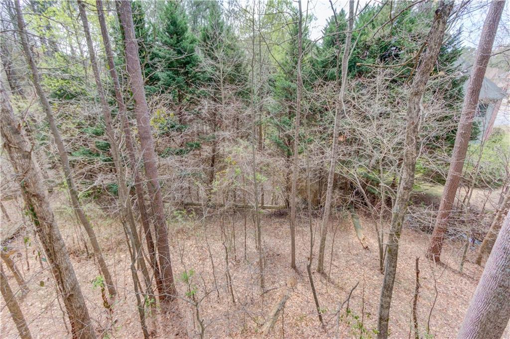 11007 Lorin Way Duluth, GA 30097 - Photo 25 of 30 a view of a yard with a tree