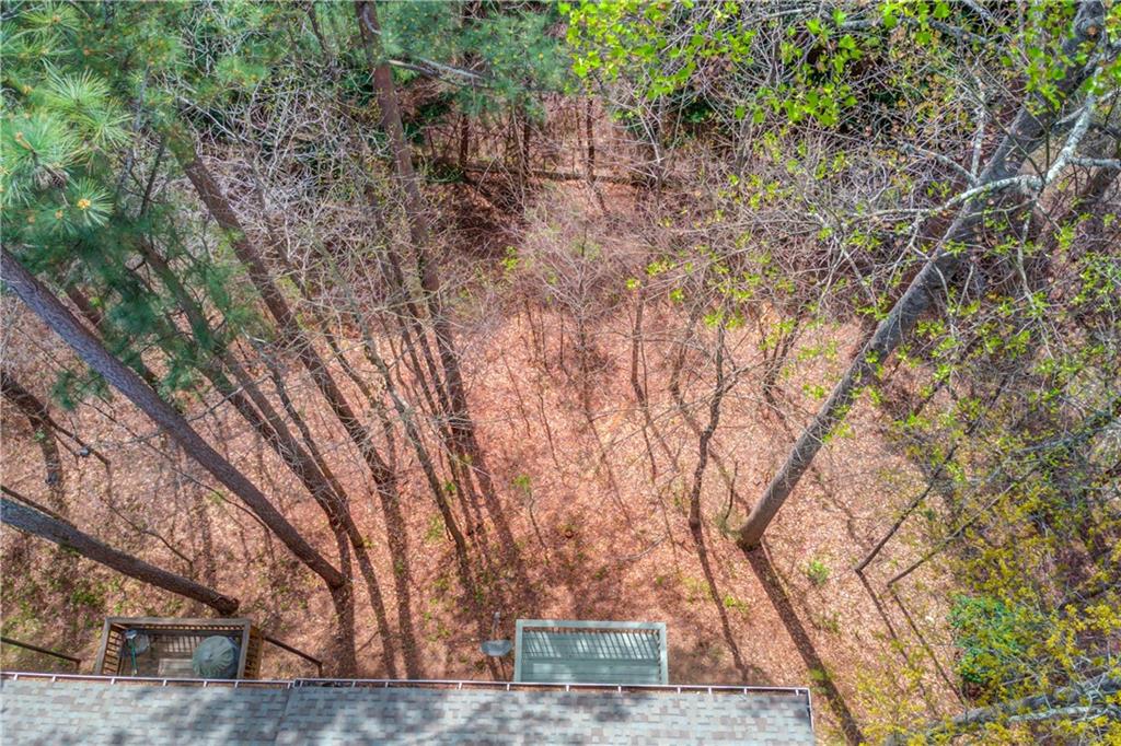 11007 Lorin Way Duluth, GA 30097 - Photo 28 of 30 front view of house with large trees