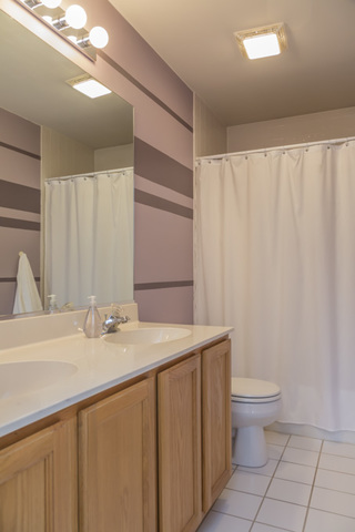 101 Barnes Road Elgin, IL 60124 - Photo 16 of 22 a bathroom with a sink toilet and vanity