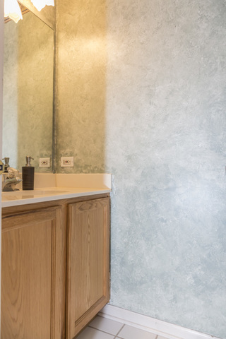 101 Barnes Road Elgin, IL 60124 - Photo 10 of 22 a bathroom with a sink and a mirror