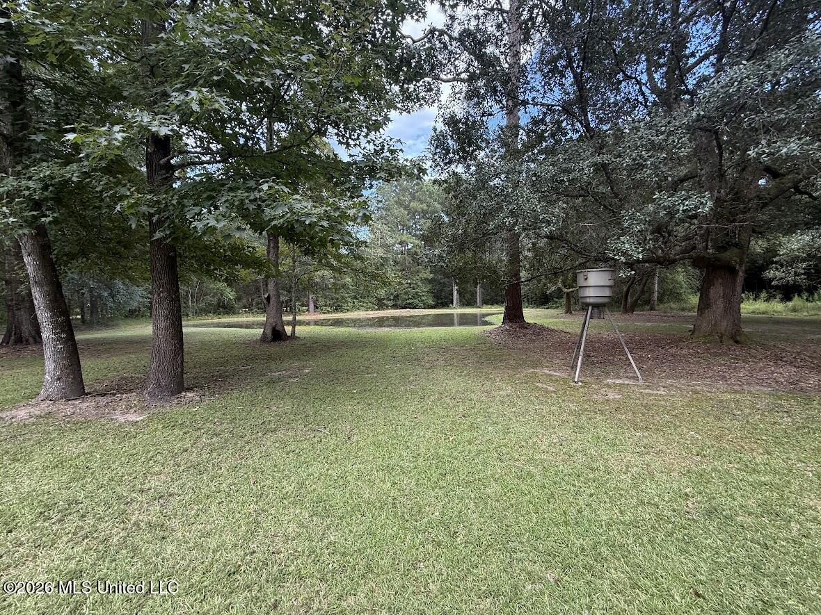 6211 Crump Road Kiln, MS 39556 - Photo 40 of 51 Feeder and pond