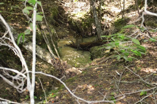 $390,000 | 0 Coleman Road, Clinton, SC 29325