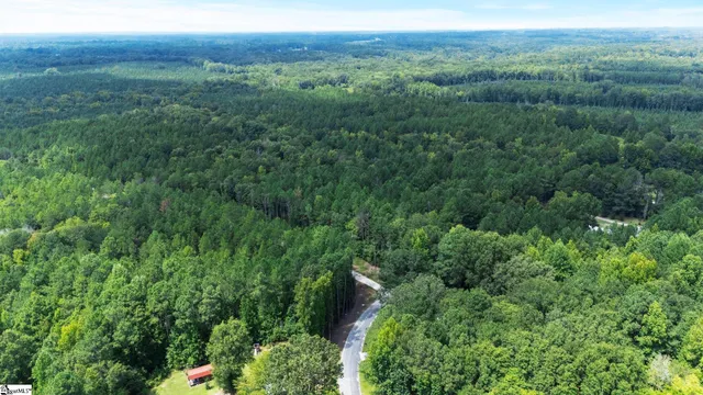 $390,000 | 0 Coleman Road, Clinton, SC 29325