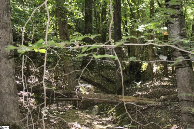 $390,000 | 0 Coleman Road, Clinton, SC 29325