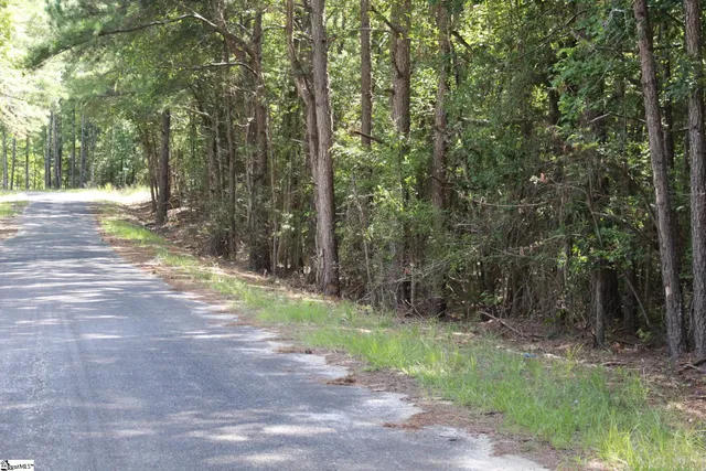 $390,000 | 0 Coleman Road, Clinton, SC 29325