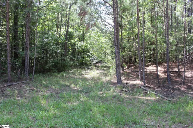 $390,000 | 0 Coleman Road, Clinton, SC 29325
