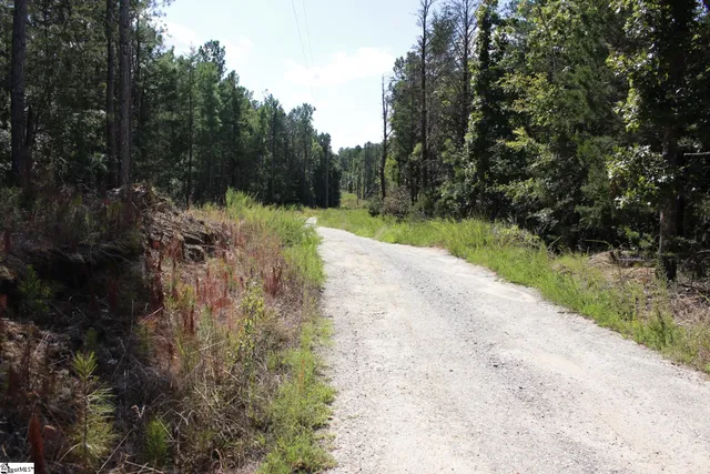 $390,000 | 0 Coleman Road, Clinton, SC 29325