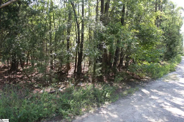 $390,000 | 0 Coleman Road, Clinton, SC 29325