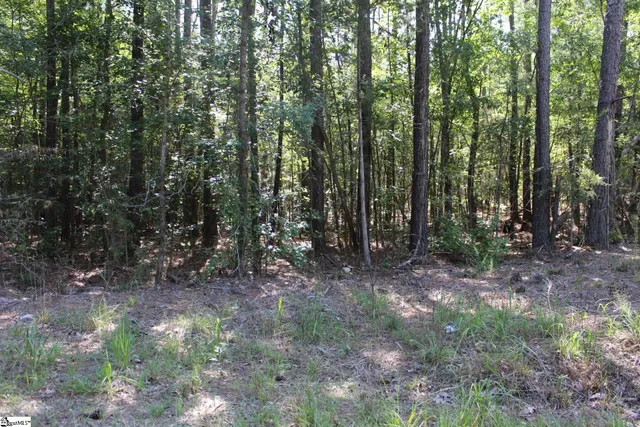 $390,000 | 0 Coleman Road, Clinton, SC 29325