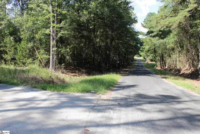 $390,000 | 0 Coleman Road, Clinton, SC 29325