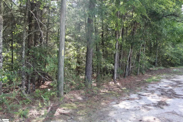 $390,000 | 0 Coleman Road, Clinton, SC 29325
