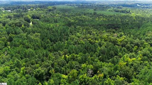 $390,000 | 0 Coleman Road, Clinton, SC 29325