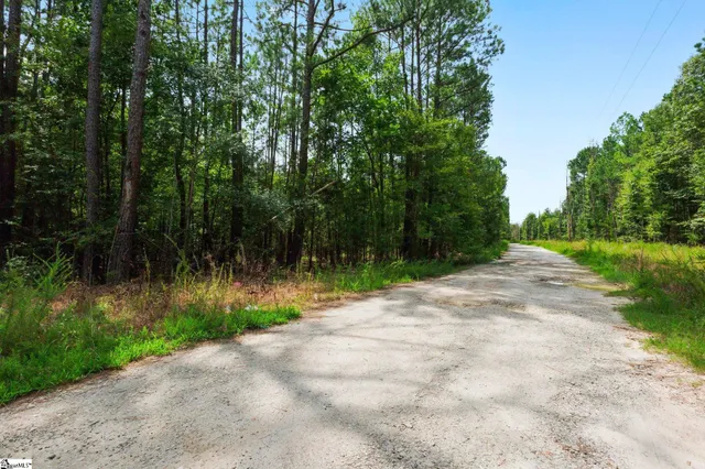$390,000 | 0 Coleman Road, Clinton, SC 29325