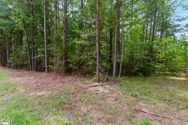 $390,000 | 0 Coleman Road, Clinton, SC 29325