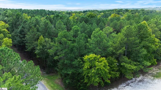 $390,000 | 0 Coleman Road, Clinton, SC 29325