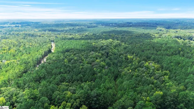 $390,000 | 0 Coleman Road, Clinton, SC 29325