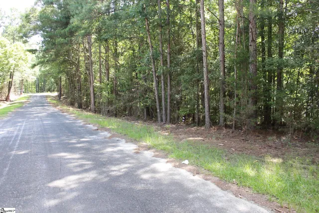 $390,000 | 0 Coleman Road, Clinton, SC 29325