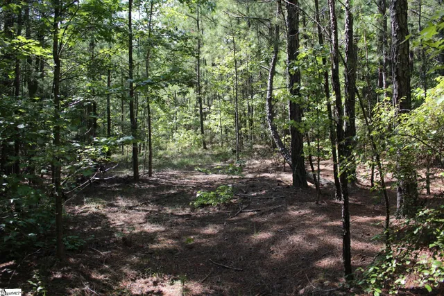 $390,000 | 0 Coleman Road, Clinton, SC 29325