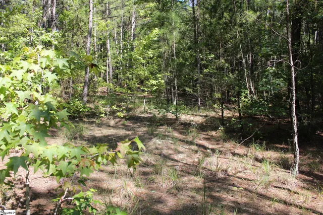 $390,000 | 0 Coleman Road, Clinton, SC 29325