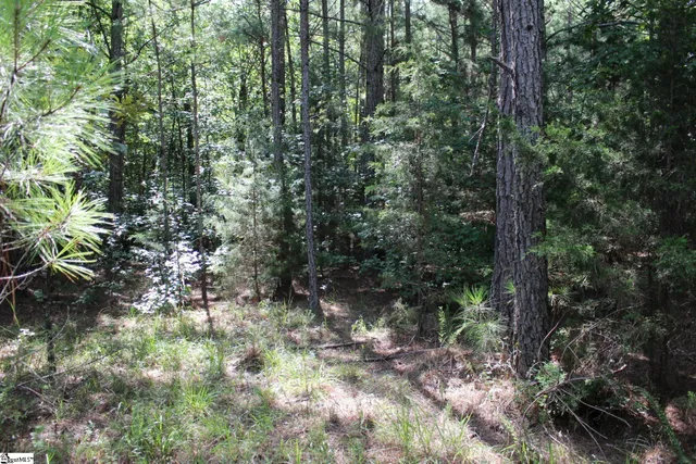 $390,000 | 0 Coleman Road, Clinton, SC 29325