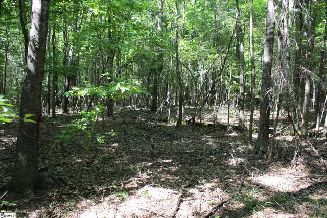 $390,000 | 0 Coleman Road, Clinton, SC 29325