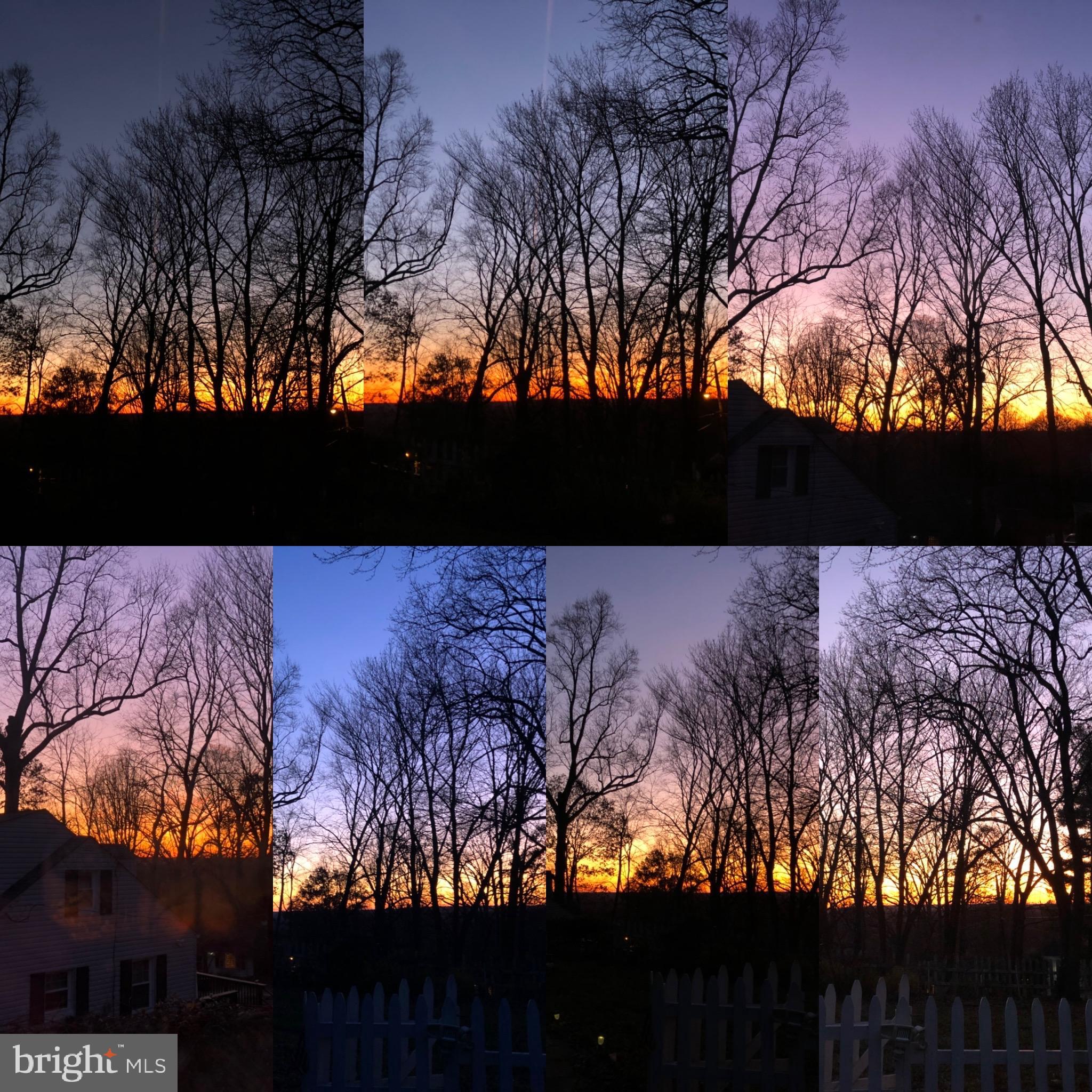 7007 Grove Road Alexandria, VA 22306 - Photo 4 of 15 Dusk Sky