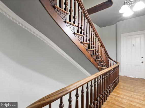 1125 St Paul Street, Unit 3 Baltimore, MD 21202 - Photo 3 of 15