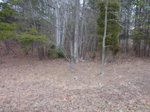 0 Meacham Road Salem, VA 24153 - Photo 1 of 1 front