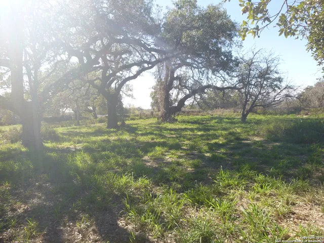 a view of a yard with a tree