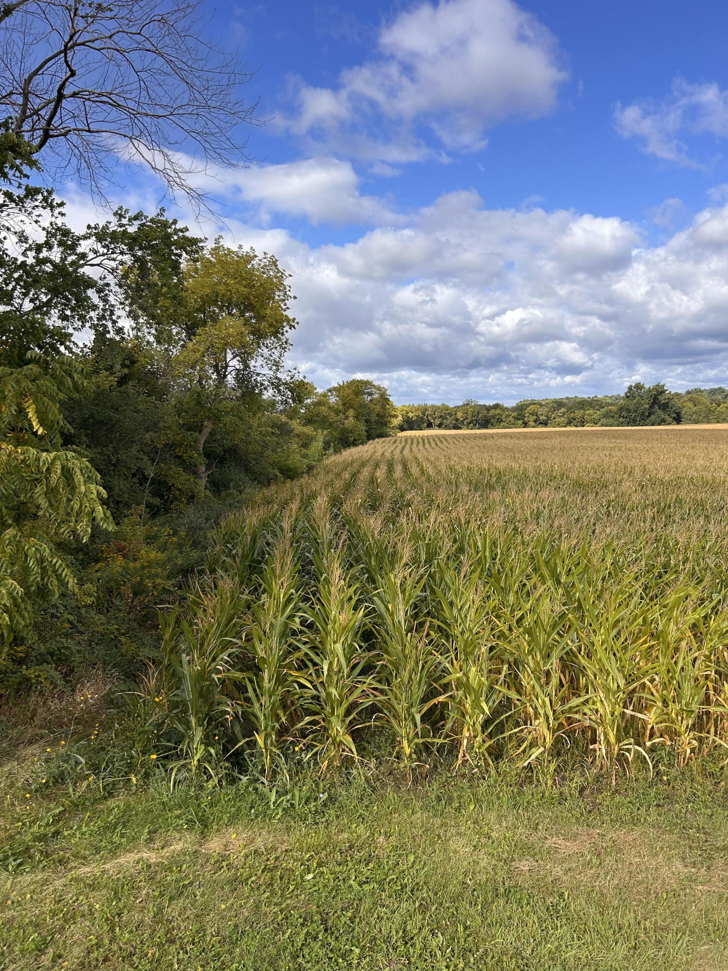 Lt3 144th Avenue Bristol, WI 53104 - Photo 2 of 12 LOT3