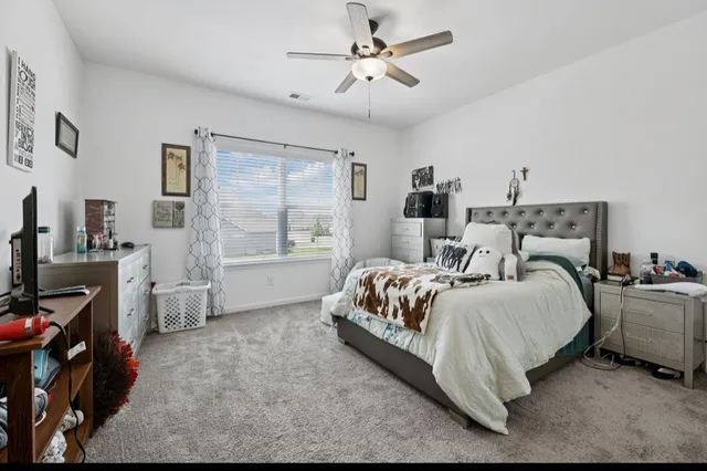 a bedroom with a bed and a television