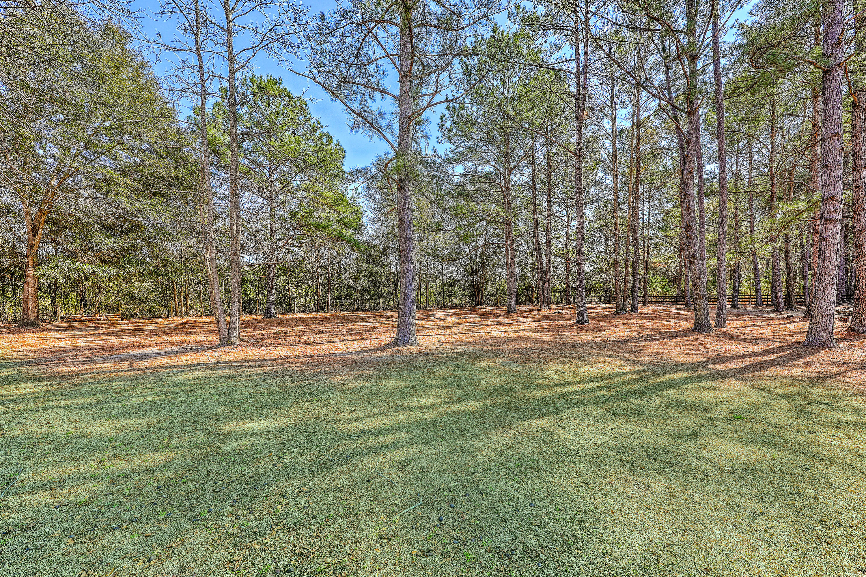 6968 Hyde Farm Road Ravenel, SC 29470 - Photo 45 of 68 Peaceful outdoor space