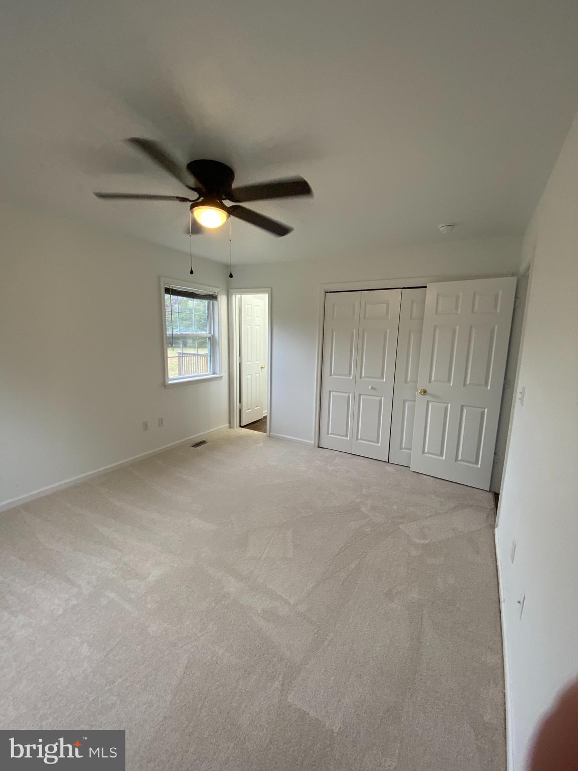 12290 Palmetto Church Road Princess Anne, MD 21853 - Photo 19 of 27 Gallery Image 19