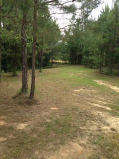 1595 County Line Road Carthage, MS 39051 - Photo 5 of 29 Photo 5