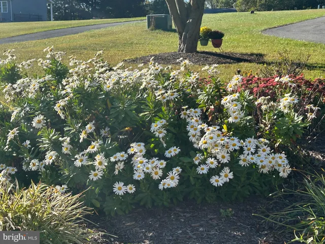 $519,000 | 1913 Trout Farm Road, Jarrettsville, MD 21084