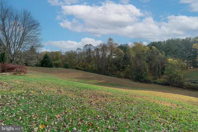a view of a grassy field with trees in the background