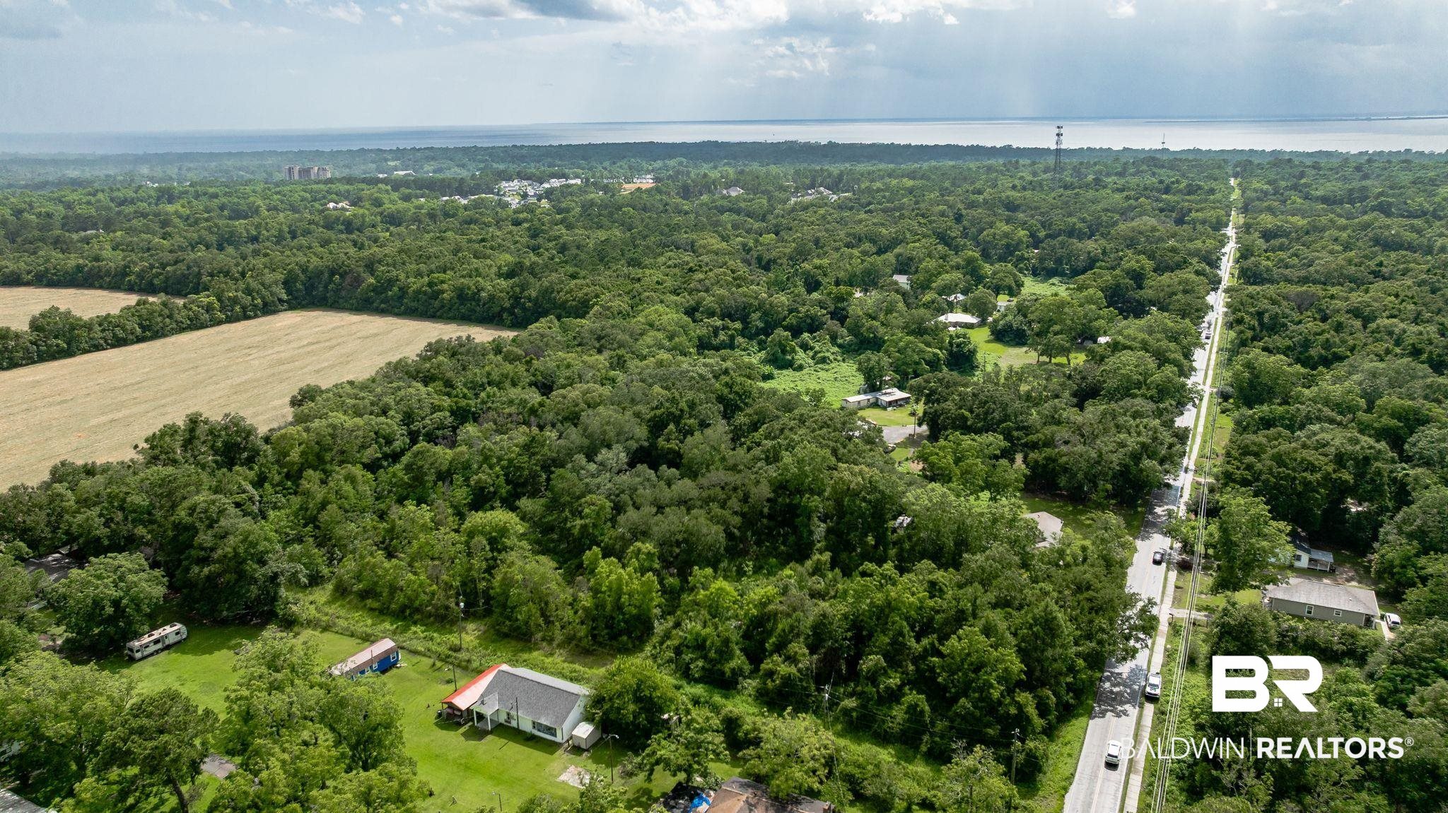 7360 Twin Beech Road Fairhope, AL 36532 - Photo 9 of 16 Aerial view of a forest
